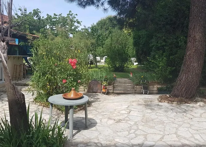 Independant, 1 Lit Deux Personnes Et 1 Appoint Piscine Jardin Direct Gare Aeroport Et Jardin