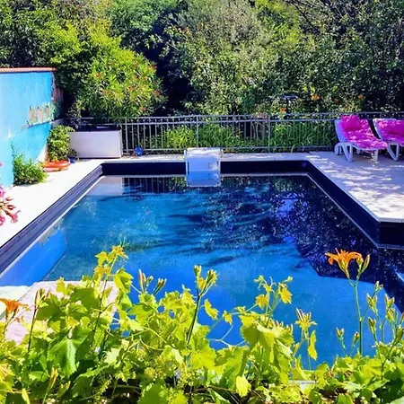 Independant, 1 Lit Deux Personnes Et 1 Appoint Piscine Jardin Direct Gare Aeroport Et Jardin * Toulouse