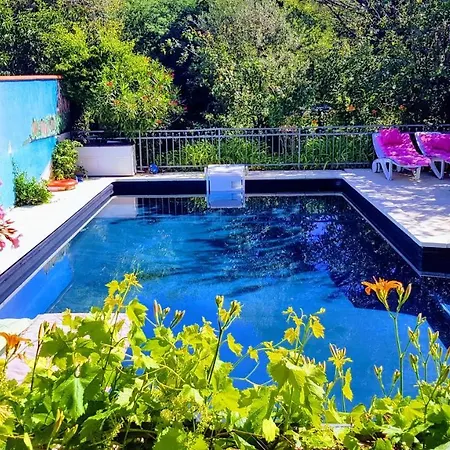 Independant, 1 Lit Deux Personnes Et 1 Appoint Piscine Jardin Direct Gare Aeroport Et Jardin *