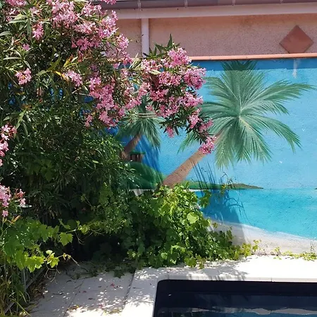 Independant, 1 Lit Deux Personnes Et 1 Appoint Piscine Jardin Direct Gare Aeroport Et Jardin