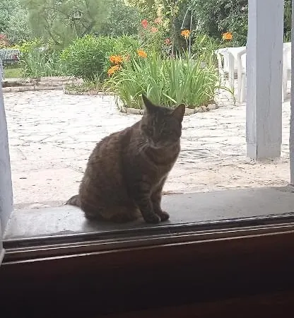 Independant, 1 Lit Deux Personnes Et 1 Appoint Piscine Jardin Direct Gare Aeroport Et Jardin Διαμέρισμα