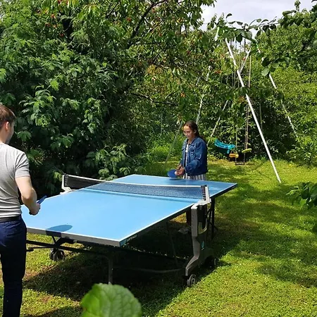Independant, 1 Lit Deux Personnes Et 1 Appoint Piscine Jardin Direct Gare Aeroport Et Jardin