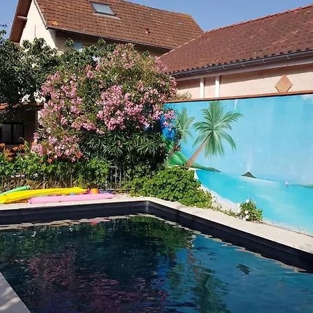 Independant, 1 Lit Deux Personnes Et 1 Appoint Piscine Jardin Direct Gare Aeroport Et Jardin * Toulouse