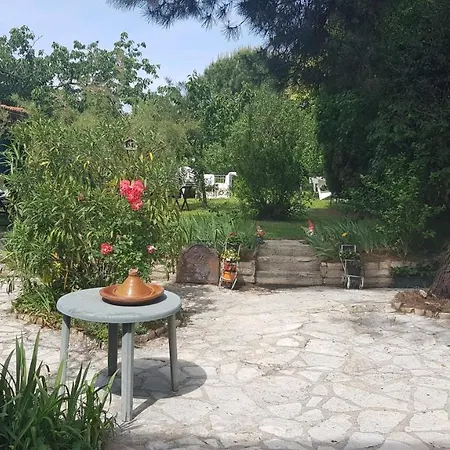 Independant, 1 Lit Deux Personnes Et 1 Appoint Piscine Jardin Direct Gare Aeroport Et Jardin