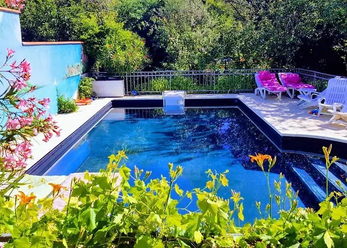 Independant, 1 Lit Deux Personnes Et 1 Appoint Piscine Jardin Direct Gare Aeroport Et Jardin * トゥールーズ