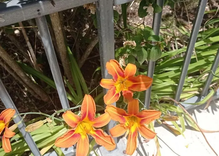 Independant, 1 Lit Deux Personnes Et 1 Appoint Piscine Jardin Direct Gare Aeroport Et Jardin アパート トゥールーズ