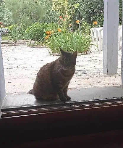 Independant, 1 Lit Deux Personnes Et 1 Appoint Piscine Jardin Direct Gare Aeroport Et Jardin アパート