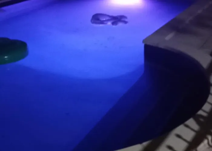 Independant, 1 Lit Deux Personnes Et 1 Appoint Piscine Jardin Direct Gare Aeroport Et Jardin アパート トゥールーズ