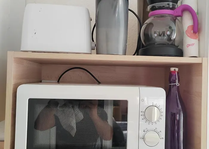 Independant, 1 Lit Deux Personnes Et 1 Appoint Piscine Jardin Direct Gare Aeroport Et Jardin トゥールーズ